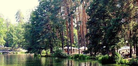 Аренда беседки с мангалом и рыбалкой в Пуще-Водице