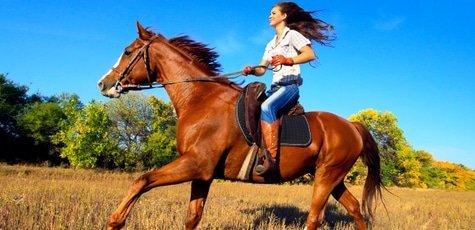 Прогулка на лошадях (1 час) -50%