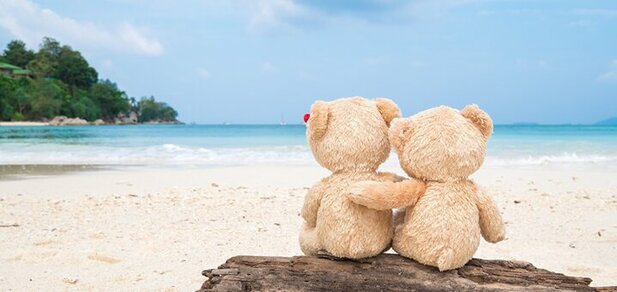 https://cdn1.pokupon.ua/uploaded/new_campaign_pictures/600048/data/main620x292/Teddy_bear_Sea_Love_Hug_552717_1280x853.jpg?1560517952