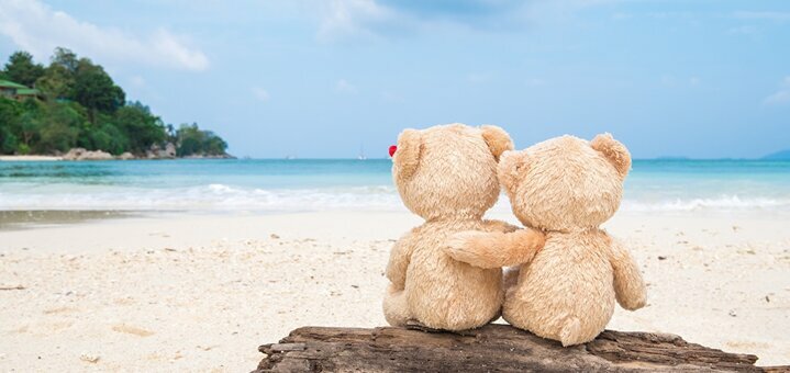 https://cdn1.pokupon.ua/uploaded/new_campaign_pictures/600048/data/main720x340/Teddy_bear_Sea_Love_Hug_552717_1280x853.jpg?1560517952