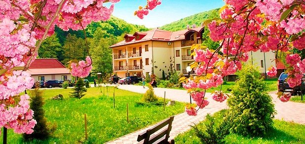 https://cdn1.pokupon.ua/uploaded/new_campaign_pictures/60032/data/main620x292/%D0%B3%D0%BB1.jpg?1457951127