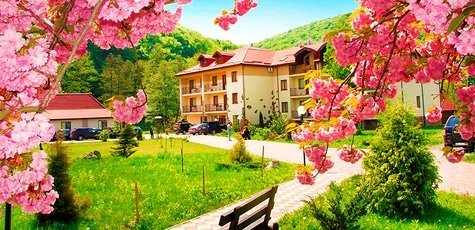 Отель «Богольвар» -50%