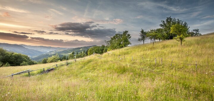 https://cdn1.pokupon.ua/uploaded/new_campaign_pictures/602105/data/main720x340/shutterstock_210994744.jpg?1561101703