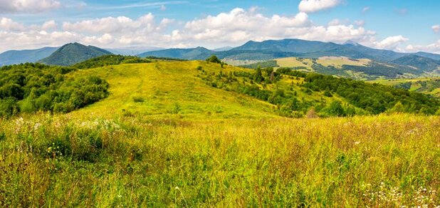 https://cdn1.pokupon.ua/uploaded/new_campaign_pictures/602111/data/main620x292/shutterstock_1089088346.jpg?1561101704