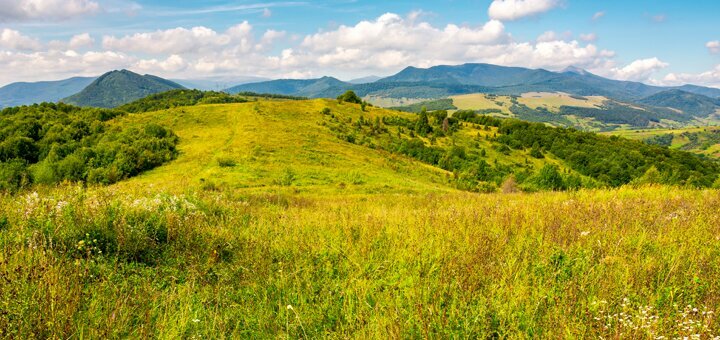 https://cdn1.pokupon.ua/uploaded/new_campaign_pictures/602111/data/main720x340/shutterstock_1089088346.jpg?1561101704