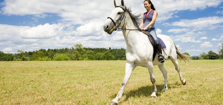 https://cdn1.pokupon.ua/uploaded/new_campaign_pictures/60701/data/main720x340/01.jpg?1458561373