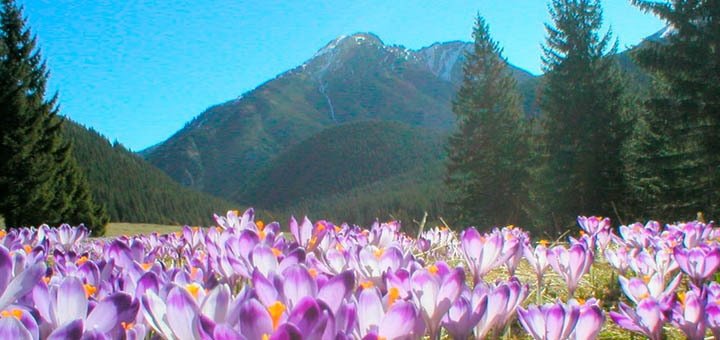 https://cdn1.pokupon.ua/uploaded/new_campaign_pictures/60742/data/main720x340/720x4.jpg?1458572118