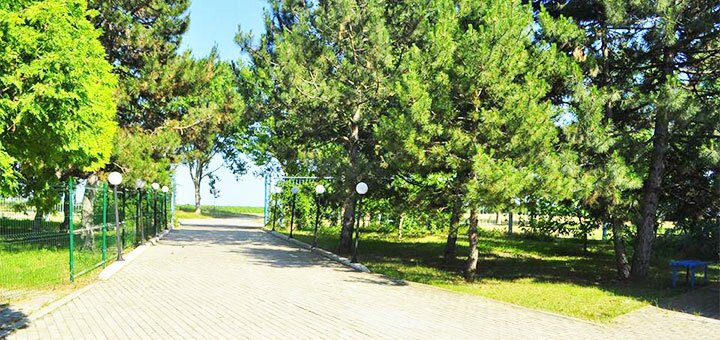 https://cdn1.pokupon.ua/uploaded/new_campaign_pictures/608178/data/main720x340/35812638_586298365085357_4269307031069917184_n20190708-2841-d8iakh.jpg?1562579588