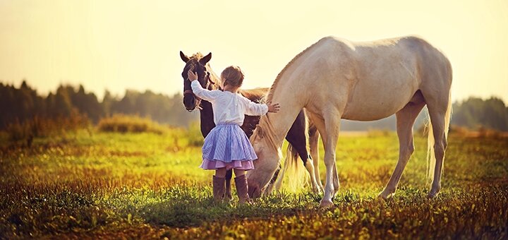 https://cdn1.pokupon.ua/uploaded/new_campaign_pictures/610716/data/main720x340/shutterstock_176982812.jpg?1563443778