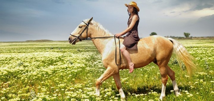 https://cdn1.pokupon.ua/uploaded/new_campaign_pictures/61354/data/main720x340/02.jpg?1459166744