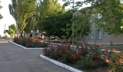 https://cdn1.pokupon.ua/uploaded/new_campaign_pictures/615513/data/main620x292/120190801-3464-agfabg.JPG?1564684712