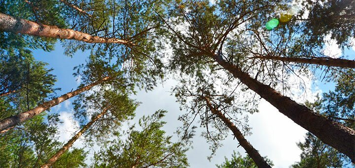 https://cdn1.pokupon.ua/uploaded/new_campaign_pictures/616536/data/main720x340/13123.jpg?1565015871