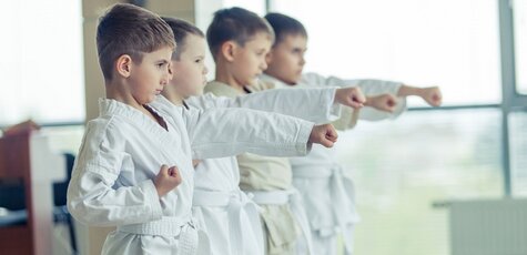 4 занятия карате для детей в студии «FitnessWell»