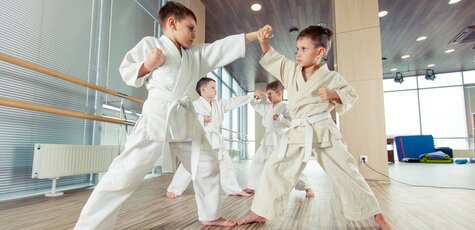 8 занятий карате для детей в студии «FitnessWell»