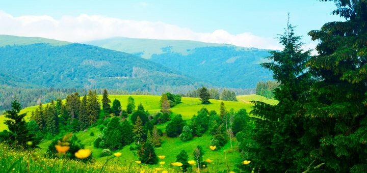 https://cdn1.pokupon.ua/uploaded/new_campaign_pictures/623432/data/main720x340/5.jpg?1567085520