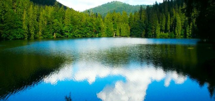 https://cdn1.pokupon.ua/uploaded/new_campaign_pictures/623437/data/main720x340/11.jpg?1567085521