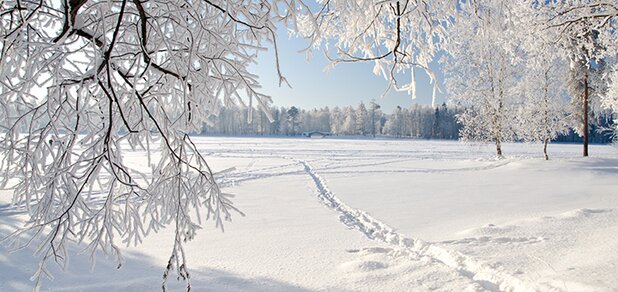 https://cdn1.pokupon.ua/uploaded/new_campaign_pictures/625862/data/main620x292/ice-landscape-nature-snow.jpeg?1574265051