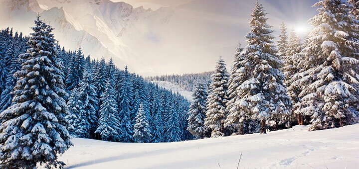https://cdn1.pokupon.ua/uploaded/new_campaign_pictures/625864/data/main720x340/shutterstock_156164945.jpg?1574265051