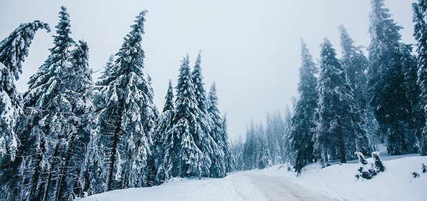 https://cdn1.pokupon.ua/uploaded/new_campaign_pictures/625866/data/main620x292/shutterstock_363582359.jpg?1574265052