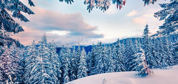 https://cdn1.pokupon.ua/uploaded/new_campaign_pictures/625880/data/main620x292/shutterstock_1020096601.jpg?1574265052