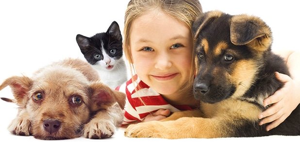 https://cdn1.pokupon.ua/uploaded/new_campaign_pictures/62601/data/main620x292/%D0%B3%D0%BB2.jpg?1460365515