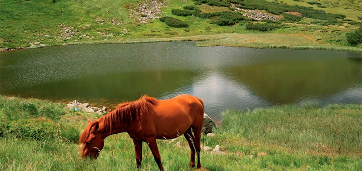 https://cdn1.pokupon.ua/uploaded/new_campaign_pictures/626590/data/main720x340/495b955b-e14d-408f-9ef3-bb7019c24639.jpg?1568201139