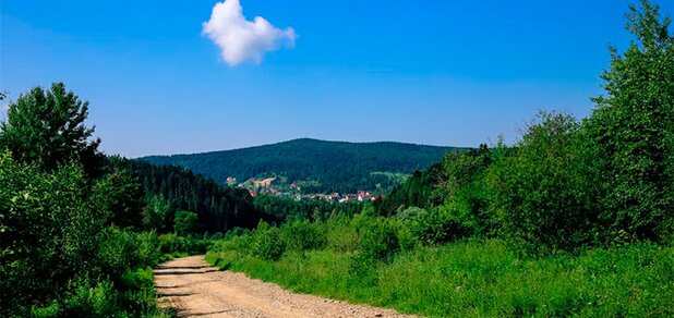 https://cdn1.pokupon.ua/uploaded/new_campaign_pictures/626695/data/main620x292/villa-buhiv.jpg?1568210838
