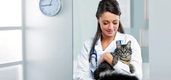 https://cdn1.pokupon.ua/uploaded/new_campaign_pictures/62751/data/main720x340/%D0%91%D0%B5%D0%B7%D0%B8%D0%BC%D0%B5%D0%BD%D0%B8-8.jpg?1460450060