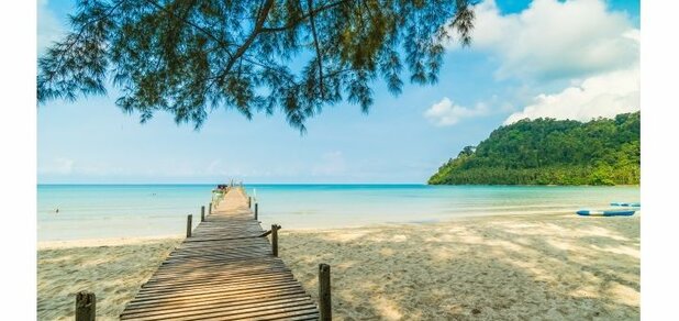 https://cdn1.pokupon.ua/uploaded/new_campaign_pictures/628754/data/main620x292/2019Nature___Sea_Wooden_bridge_under_the_tree_in_the_ocean_129997_29_%281%29.jpg?1568807927