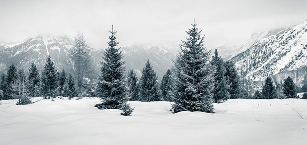 https://cdn1.pokupon.ua/uploaded/new_campaign_pictures/631446/data/main620x292/shutterstock_764720983.jpg?1569510499