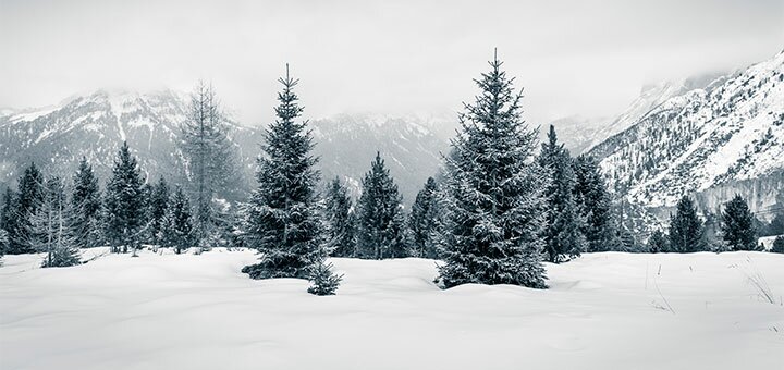 https://cdn1.pokupon.ua/uploaded/new_campaign_pictures/631446/data/main720x340/shutterstock_764720983.jpg?1569510499