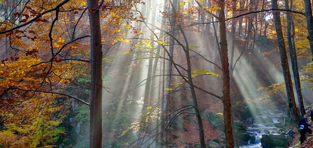 https://cdn1.pokupon.ua/uploaded/new_campaign_pictures/632971/data/main620x292/5b03d193700df.jpg?1570003998