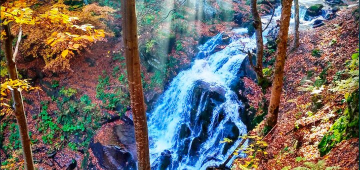 https://cdn1.pokupon.ua/uploaded/new_campaign_pictures/632973/data/main720x340/2019-10-01_14-35_1.jpg?1570003999