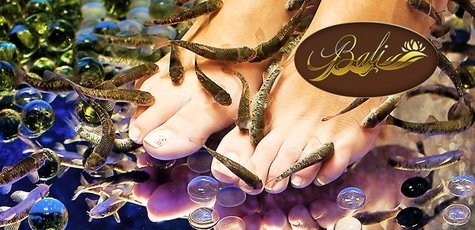 Fish SPA -57%