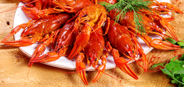 https://cdn1.pokupon.ua/uploaded/new_campaign_pictures/633517/data/main620x292/slide-crawfish-red.png?1570084579