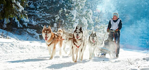 https://cdn1.pokupon.ua/uploaded/new_campaign_pictures/635370/data/main620x292/shutterstock_751142569.jpg?1570712907