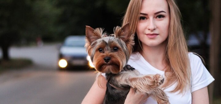 https://cdn1.pokupon.ua/uploaded/new_campaign_pictures/637974/data/main720x340/3.jpg?1571646899