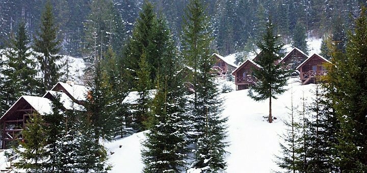 https://cdn1.pokupon.ua/uploaded/new_campaign_pictures/640048/data/main720x340/12.jpg?1572250775
