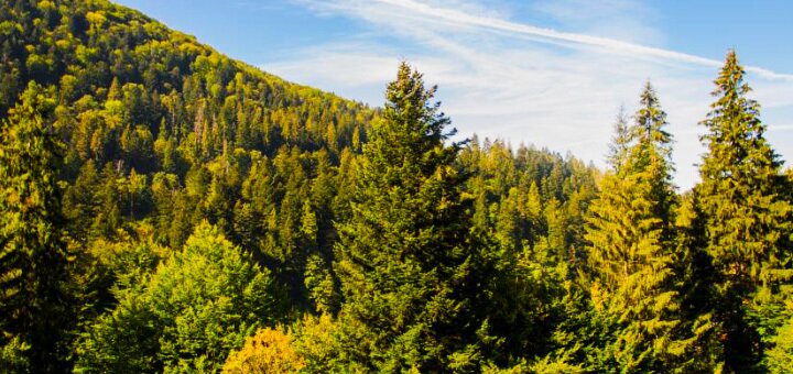https://cdn1.pokupon.ua/uploaded/new_campaign_pictures/641981/data/main720x340/720x4.JPG?1572613401