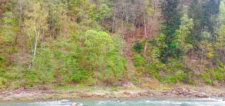 https://cdn1.pokupon.ua/uploaded/new_campaign_pictures/64201/data/main720x340/720x8.jpg?1461147772