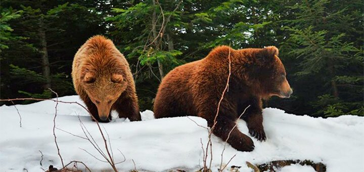 https://cdn1.pokupon.ua/uploaded/new_campaign_pictures/642375/data/main720x340/24335417.jpg?1572881354