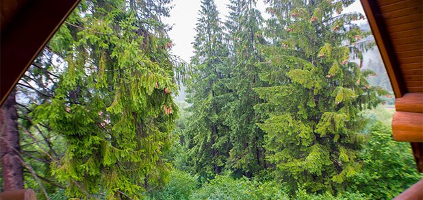https://cdn1.pokupon.ua/uploaded/new_campaign_pictures/644008/data/main620x292/19.jpg?1573224814