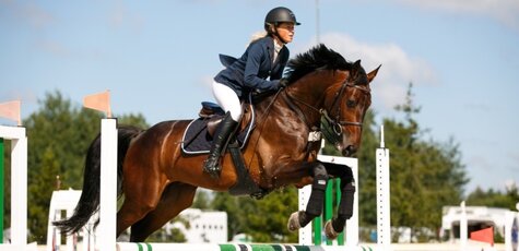 Скидка до 50% на прокат лошадей в «IloveMyHorse»