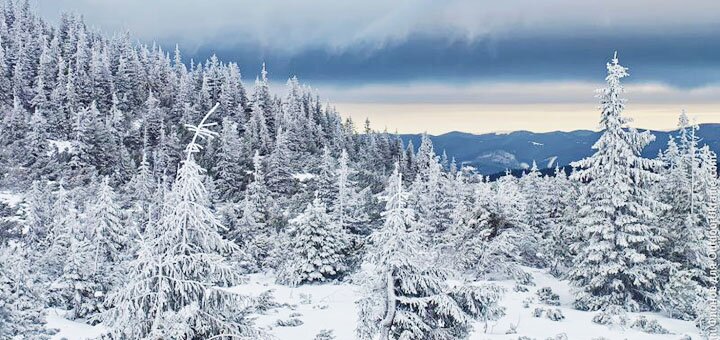 https://cdn1.pokupon.ua/uploaded/new_campaign_pictures/647541/data/main720x340/2203229_800x600_23-karpaty-zimoy.jpg?1574235984