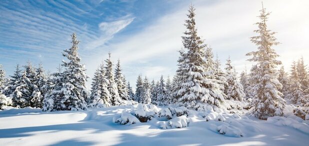 https://cdn1.pokupon.ua/uploaded/new_campaign_pictures/648069/data/main620x292/shutterstock_519397579.jpg?1574268648