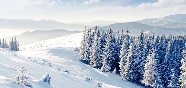 https://cdn1.pokupon.ua/uploaded/new_campaign_pictures/648080/data/main620x292/2_copy.jpg?1574272480