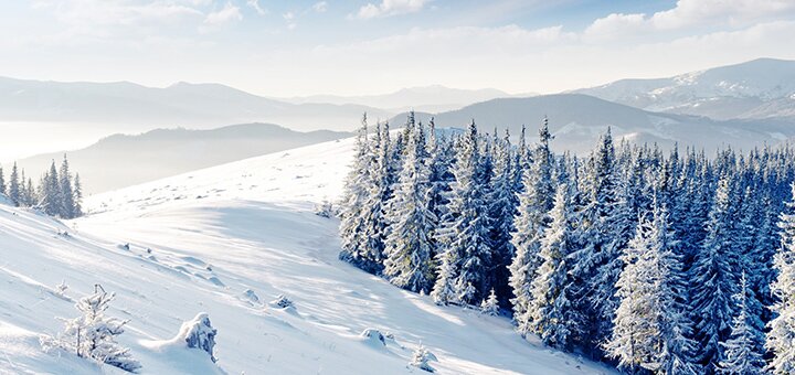 https://cdn1.pokupon.ua/uploaded/new_campaign_pictures/648080/data/main720x340/2_copy.jpg?1574272480