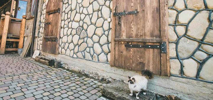 https://cdn1.pokupon.ua/uploaded/new_campaign_pictures/649660/data/main720x340/102196216.jpg?1574681893