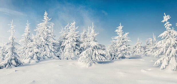 https://cdn1.pokupon.ua/uploaded/new_campaign_pictures/651013/data/main620x292/shutterstock_778284286.jpg?1574942699