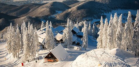 От 3 дней в декабре в «Villa Garden» в Солочине